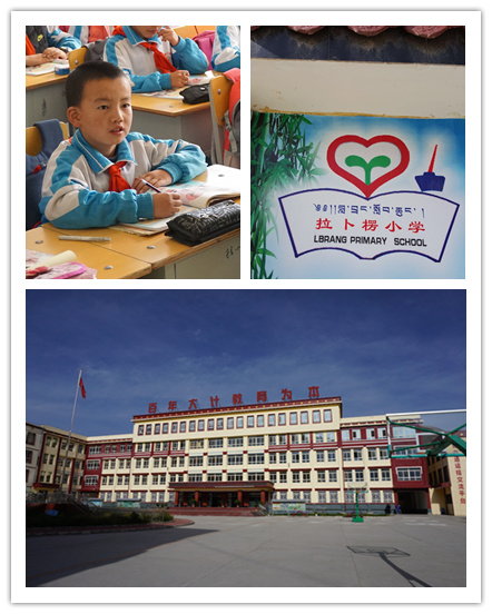 pg电子模拟器(中国游)官方网站