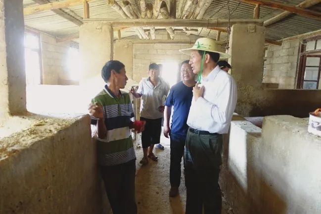 D4CA25D1D1950969999650CE3C5_89BB7478_B2D4