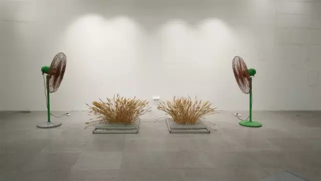 pg电子模拟器(中国游)官方网站