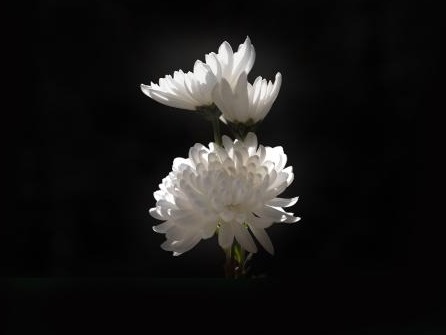 pg电子模拟器(中国游)官方网站