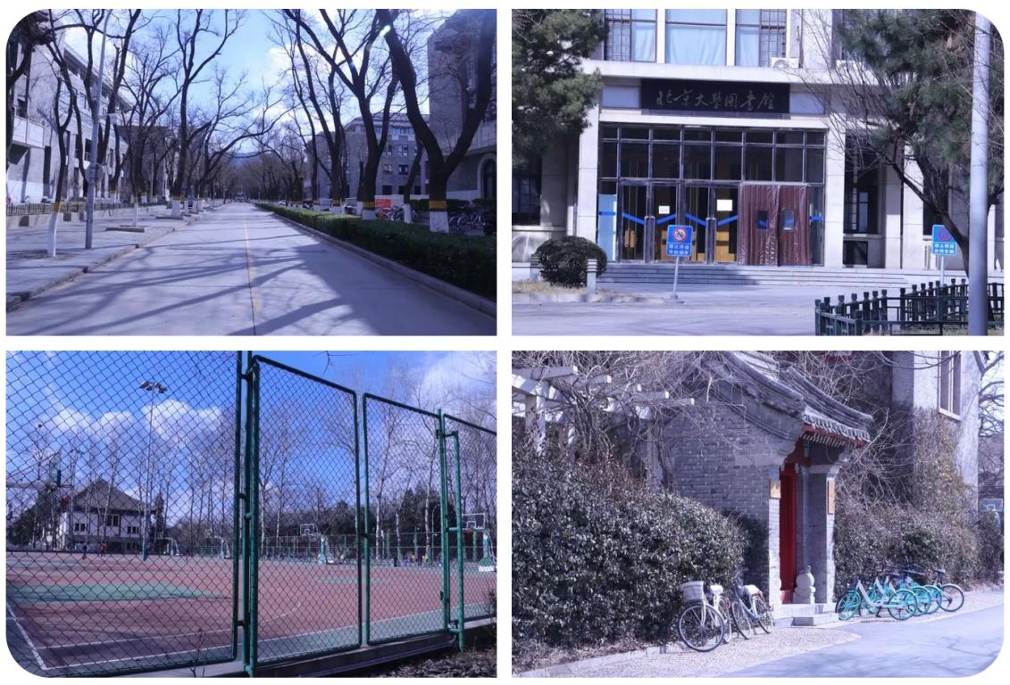 pg电子模拟器(中国游)官方网站
