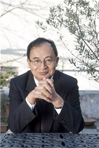 pg电子模拟器(中国游)官方网站