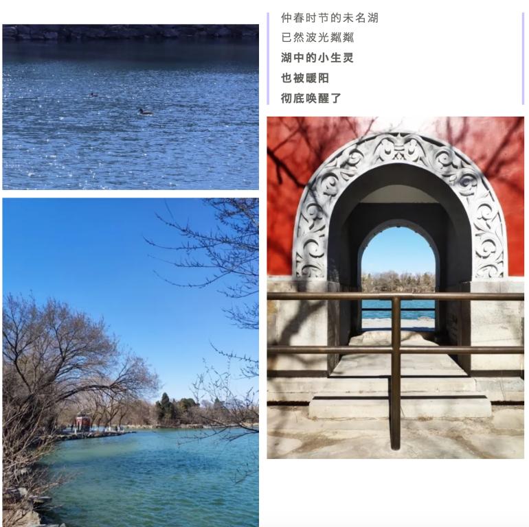 pg电子模拟器(中国游)官方网站