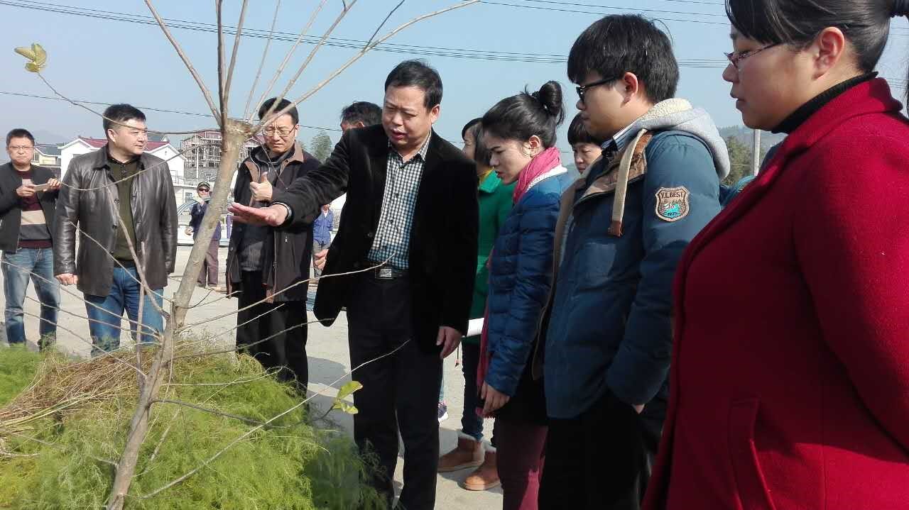 pg电子模拟器(中国游)官方网站