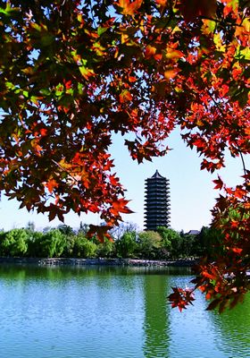 pg电子模拟器(中国游)官方网站