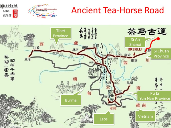 pg电子模拟器(中国游)官方网站