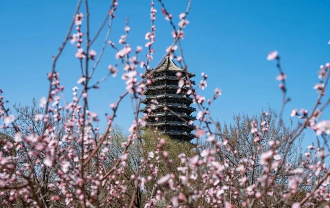 pg电子模拟器(中国游)官方网站