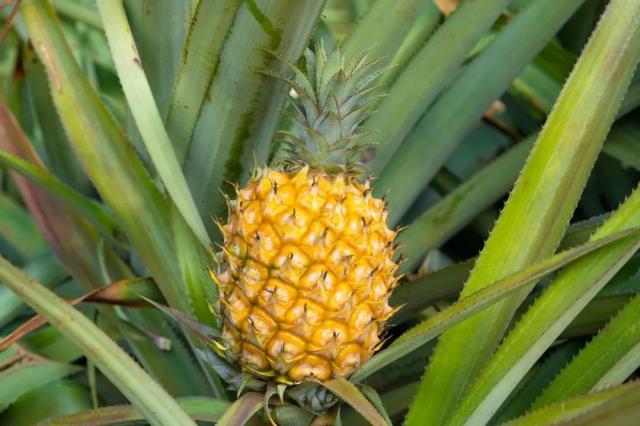 6BC6CFB3D4B82B5F333642C03EA_EAC409C1_AABD