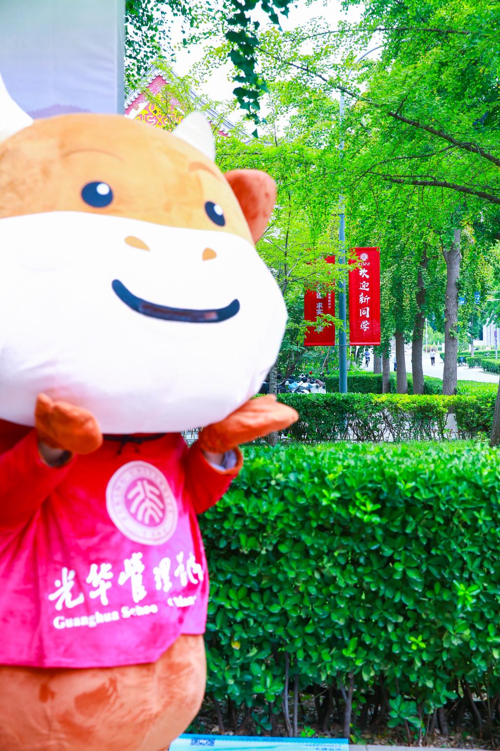 pg电子模拟器(中国游)官方网站