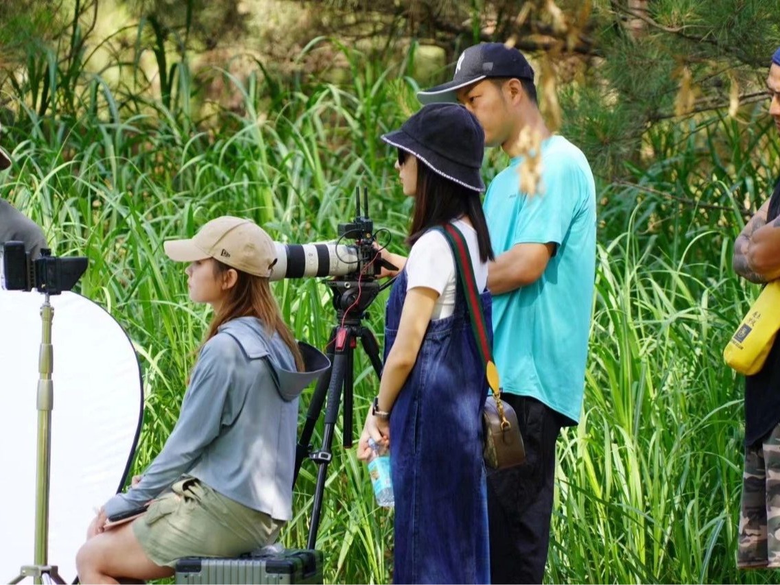 pg电子模拟器(中国游)官方网站