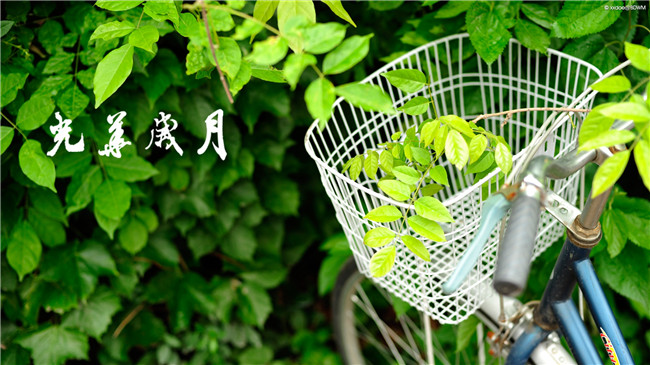 pg电子模拟器(中国游)官方网站