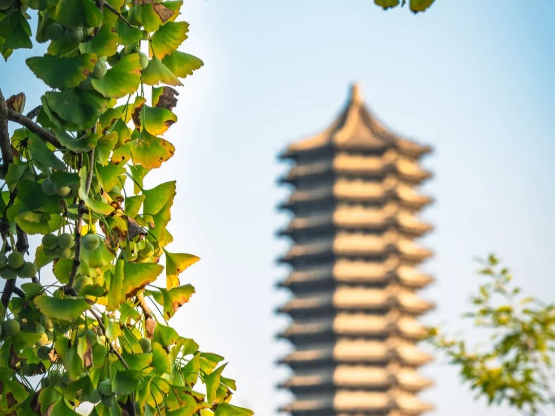 pg电子模拟器(中国游)官方网站