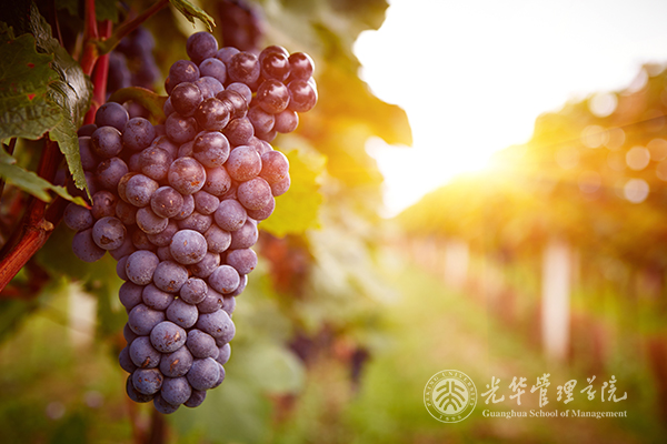 pg电子模拟器(中国游)官方网站